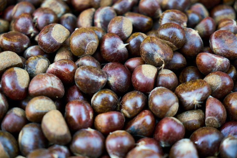 The Role of Exercise in Supporting Urinary Tract Health