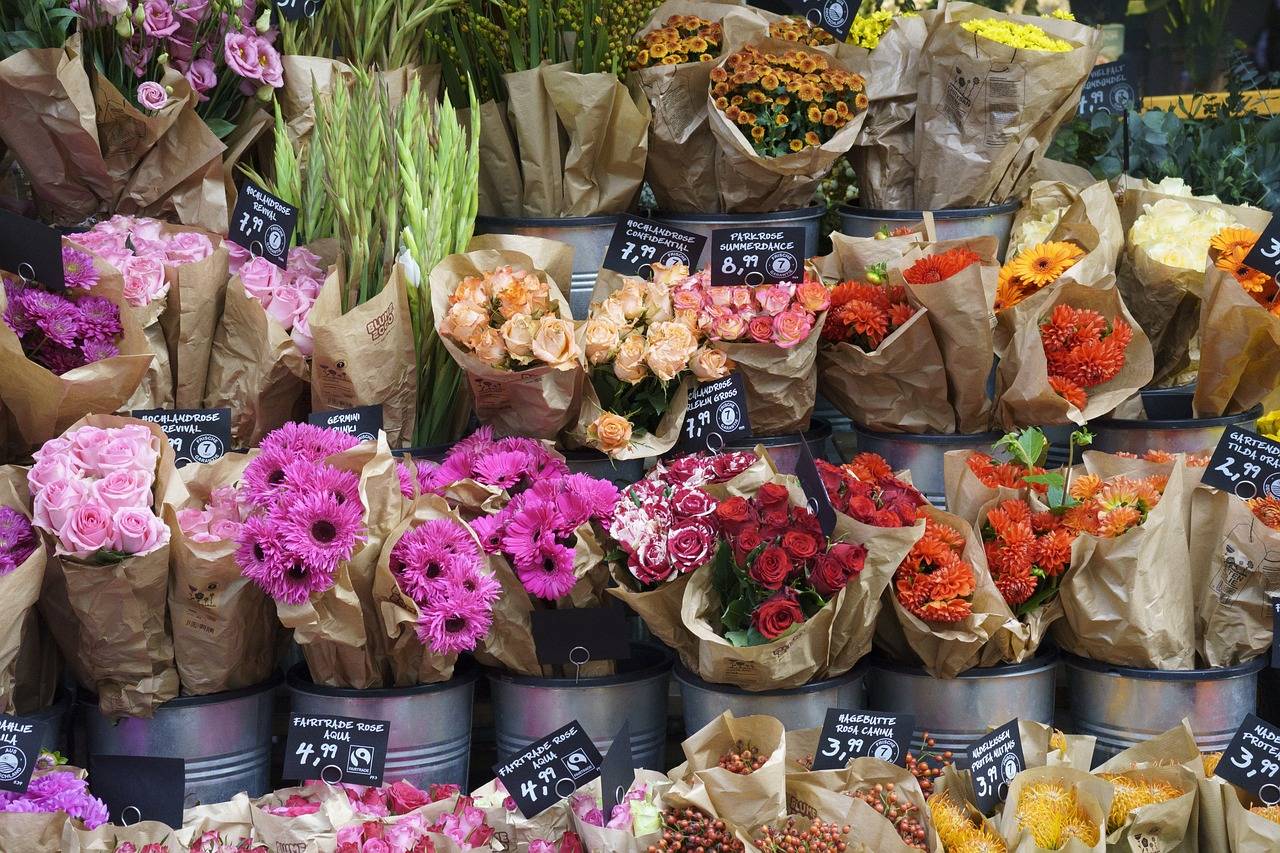 The Rise of Contactless Payments: Shopping in the Post-Pandemic World