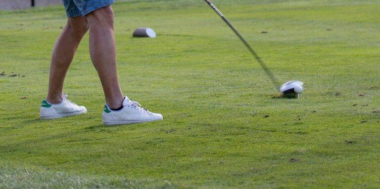 IPL and the Growth of Cricket Academies in India