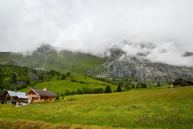 Traveling for Culinary Experiences and Food Festivals