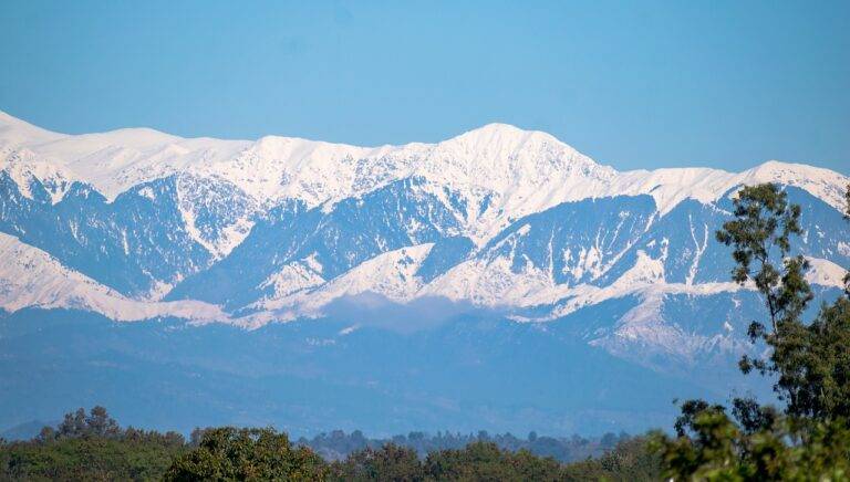 Exploring the Role of Grassroots Movements in Election Campaigns