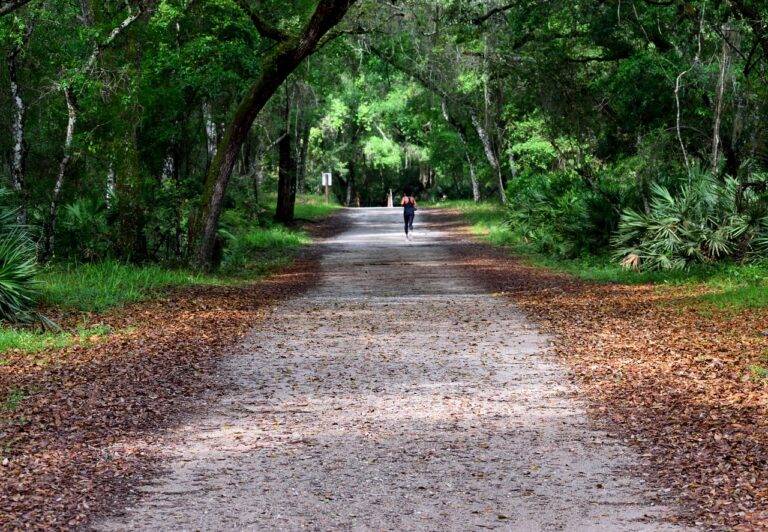 The Science of Sleep: Understanding the Importance of Restorative Rest