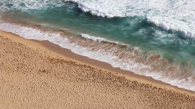 How To Finish 99 Exch In Login Registration?