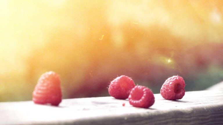 How To Register Through Cricbet99 Club Win App?